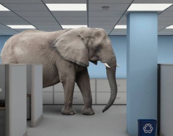 Elephant in the room 306x172