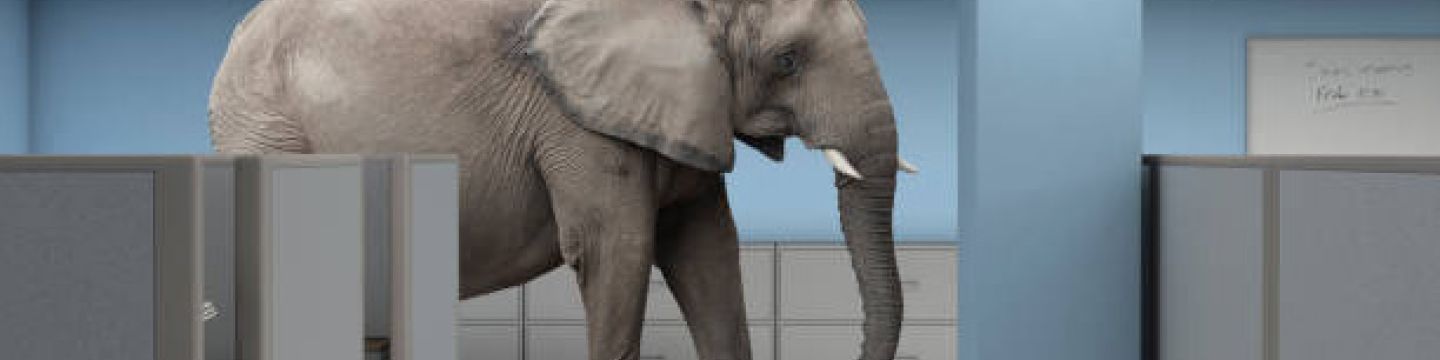 Elephant in the room 306x172